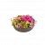 Summer Bowl 250334