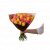 Roses for Spring 242627