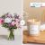 Petit plaisir et sa bougie - Petit plaisir and candle