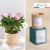 Rosier et bougie - Rosebush and candle