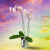 Glinda the Good Plant