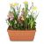Plant Pot Cheerful Little Spring Garden