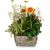 Planter 'In Gratitude' for the cemetery