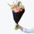 Gladioli 240411