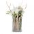 Indoor plant 'Lifestyle' orchid in vase