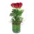 6 Red roses in a vase