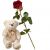 Send 1-Red-Rose-with-teddy-bear-white-Min to Liechtenstein