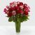 Send 24-Red-Pink-Roses-in-Vase-Min to South Africa