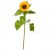 Send A-Small-Sun-1-sunflower to Liechtenstein