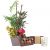 Send Bonne-fete-Mamie-son-crin-de-chocolats-et-sa-bougie to Luxembourg