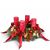 Send Celebrate-Advent to Austria