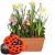 Send Cheerful-Little-Spring-Garden-with-chocolate-ladybird to Switzerland
