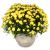 Send Chrysanthemum-Plant-yellow-in-a-cachepot to Liechtenstein
