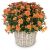Send Chrysanthemum-orange-in-a-basket to Liechtenstein