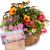 Send Delicate-Summer-Garden-with-Delicate-Flowers-with-bar-of-chocolate-Happy-Birthday to Liechtenstein