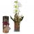 Send Enchantment-orchid-with-vase-with-Gottlieber-cocoa-almonds-and-hanging-gift-tag-Happy-Birthday to Liechtenstein