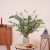 Send Eucalyptus-bunch to Spain