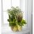 Send French-Garden-Min to Colombia