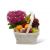 Send Garden-Paradise-Basket-Min to Paraguay