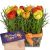 Send Happy-tulip-meadow-with-bar-of-chocolate-Thank-you to Switzerland