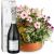 Send Loving-Outdoor-Flower-Bowl-with-Prosecco-Albino-Armani-DOC-75cl to Switzerland