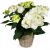 Send Memory-that-Lasts-white-hydrangea-for-the-cemetery to Switzerland