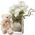 Send Mystical-Orchids-including-vase-with-teddy-bear-white to Switzerland