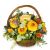 Send Natural-seasonal-basket to Switzerland