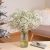 Send Paniculata-bunch to Spain
