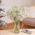 Send Paniculata-bunch to Spain