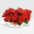 Send Poinsettia-Basket to South Africa
