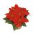 Send Poinsettia to Luxembourg