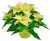 Send Poinsettia to Madagascar