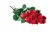 Send Red-Roses to Jamaica