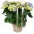 Send Romantic-Vintage-blue-hydrangea to Liechtenstein
