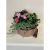 Send Seasonal-Plants-in-a-Box to Montenegro