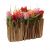 Send Stylish-Miniature-Tulip-Garden to Switzerland