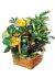 Send Sunshine-Basket to Antigua and Barbuda