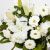 Send Sympathy-Arrangement-Max to Indonesia