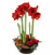 Send Test-Plant-P to Sweden