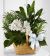 Send The-FTD-Peace-And-Serenity-Dishgarden-Min to Puerto Rico