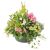Send funeral-arrangement-of-plants to Luxembourg
