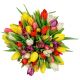 Send Seasonal-Tulips-Bouquet-Max to Montenegro