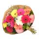 Send Gerbera-Bunch-Mixed to South Africa