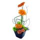 Send Gerbera-Glee to Lesotho