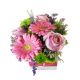 Send Pretty-in-Pink to Lesotho
