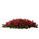 Send Red-Coffin-Spray to Lesotho