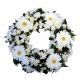 Send White-Wreath-Min to Namibia