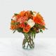 Send Orange-Mood to Russia