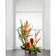 Send The-FTD-Island-Breeze-Arrangement to Bahamas